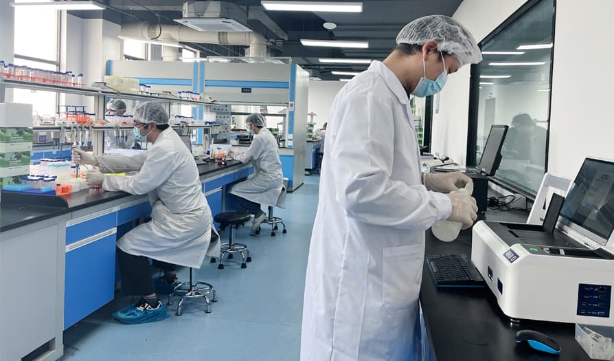 Rapid Test Laboratory